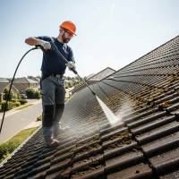 Notre zone d'activité pour ce service Traitement anti-mousse à Jaunay-Marigny proche de Poitiers : Application préventive et curative pour toiture propre
